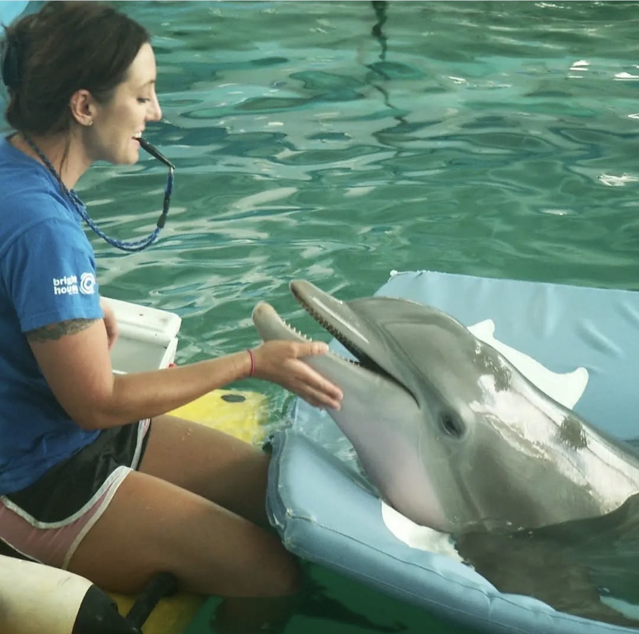 Winter the Dolphin & Friends — cared for by this Pet Pro