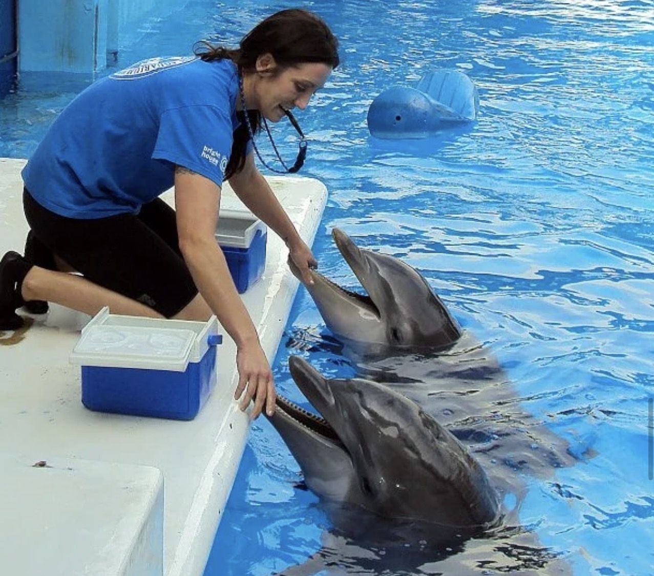 Winter the Dolphin & Friends — cared for by this Pet Pro
