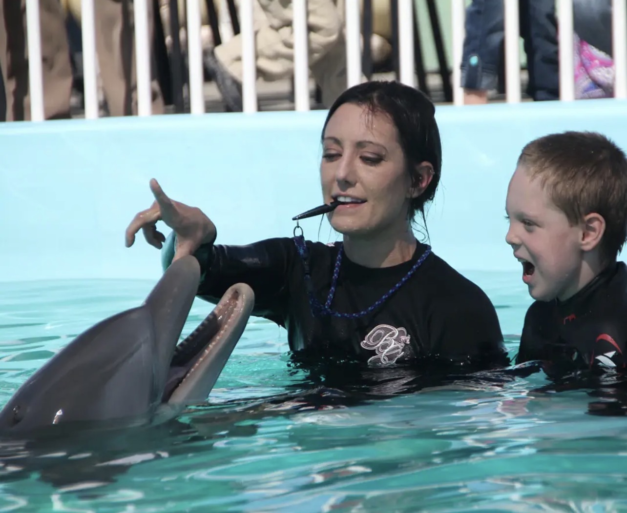 Winter the Dolphin & Friends — cared for by this Pet Pro