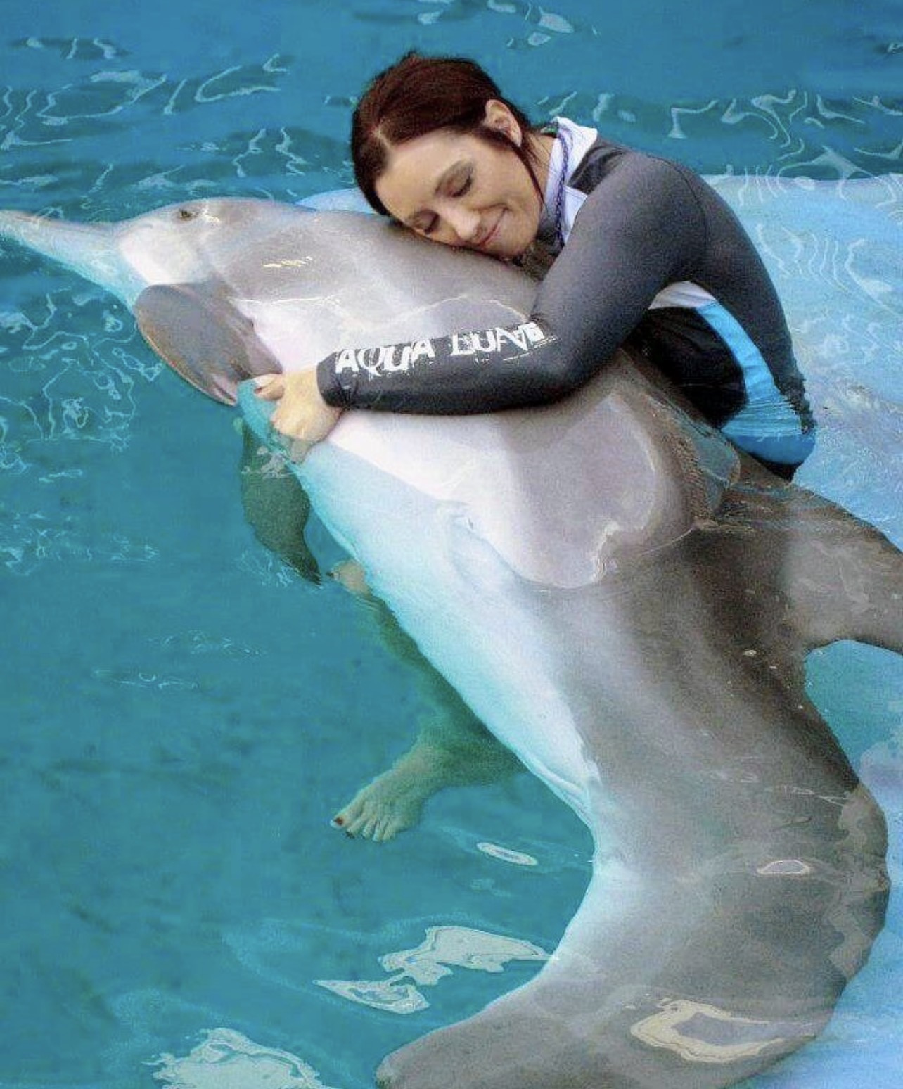 Winter the Dolphin & Friends — cared for by this Pet Pro