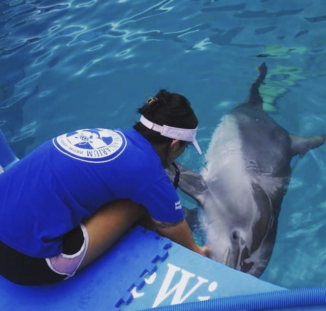 Winter the Dolphin & Friends — cared for by this Pet Pro