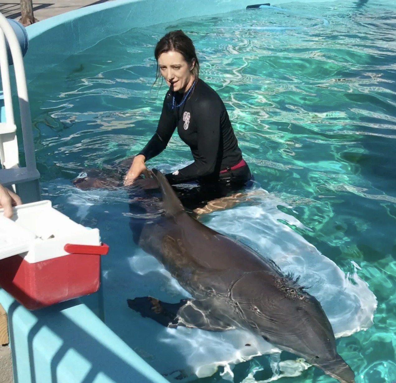 Winter the Dolphin & Friends — cared for by this Pet Pro