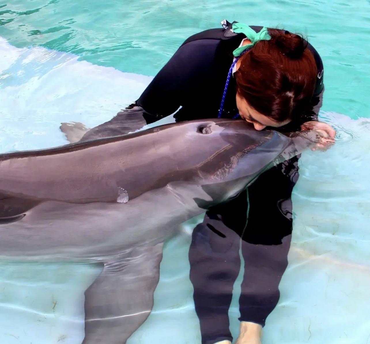 Winter the Dolphin & Friends — cared for by this Pet Pro