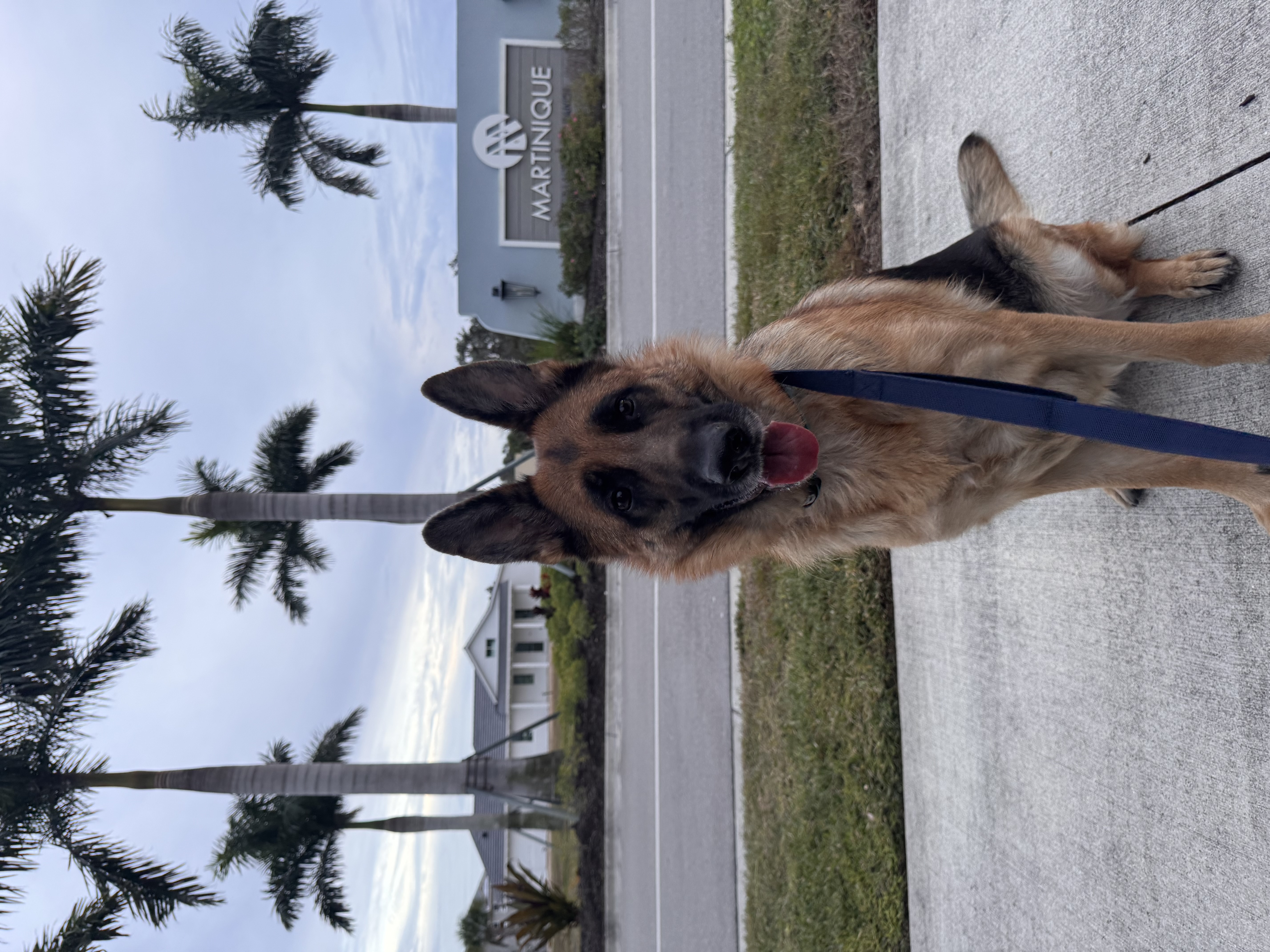 Caroline LaCamera (Ohh My Dog!)  gallery photo