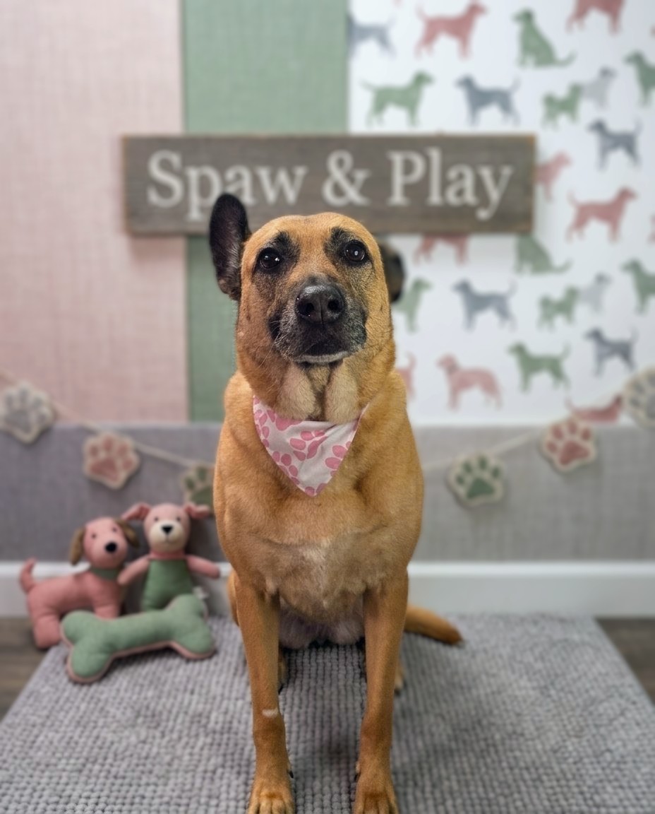 Spaw & Play gallery photo